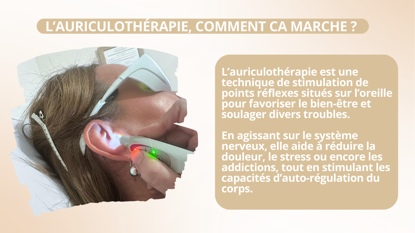 l auriculotherapie l auriculotherapie